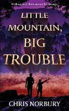 LITTLE MOUNTAIN, BIG TROUBLE