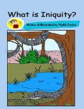 What is Iniquity?